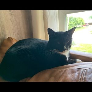 Meet your Posher, Kelley